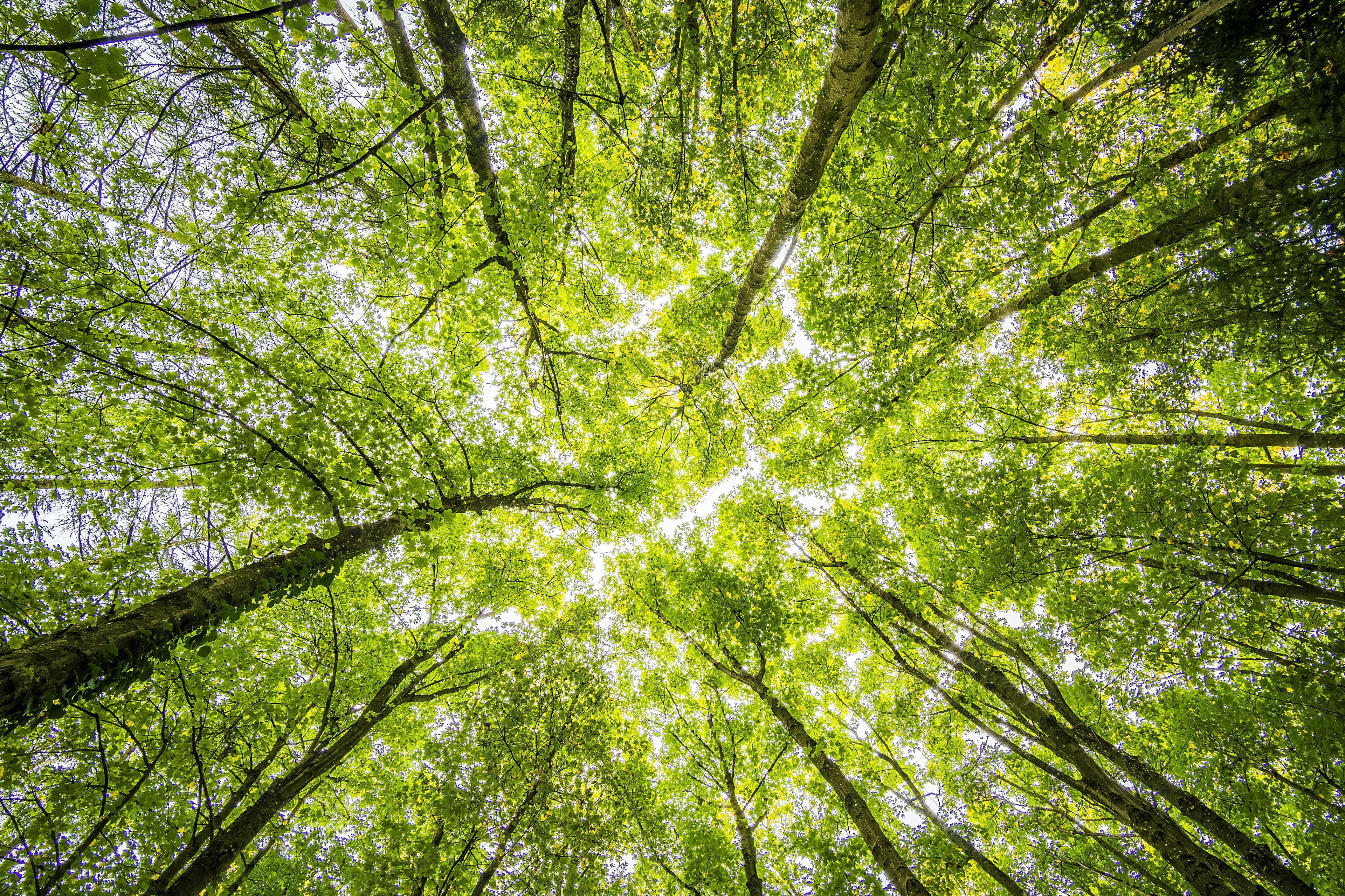 Promoting Sustainability