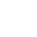 Customs clearance icon